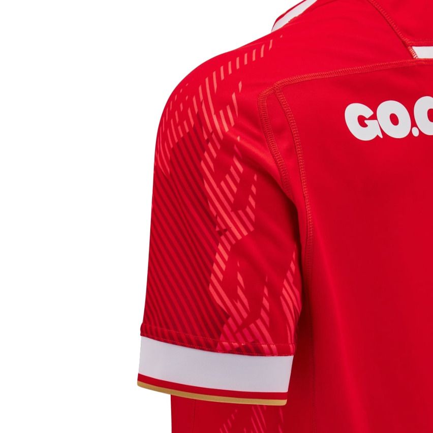 Wales Home Rugby Shirt 2024/25 - MACRON