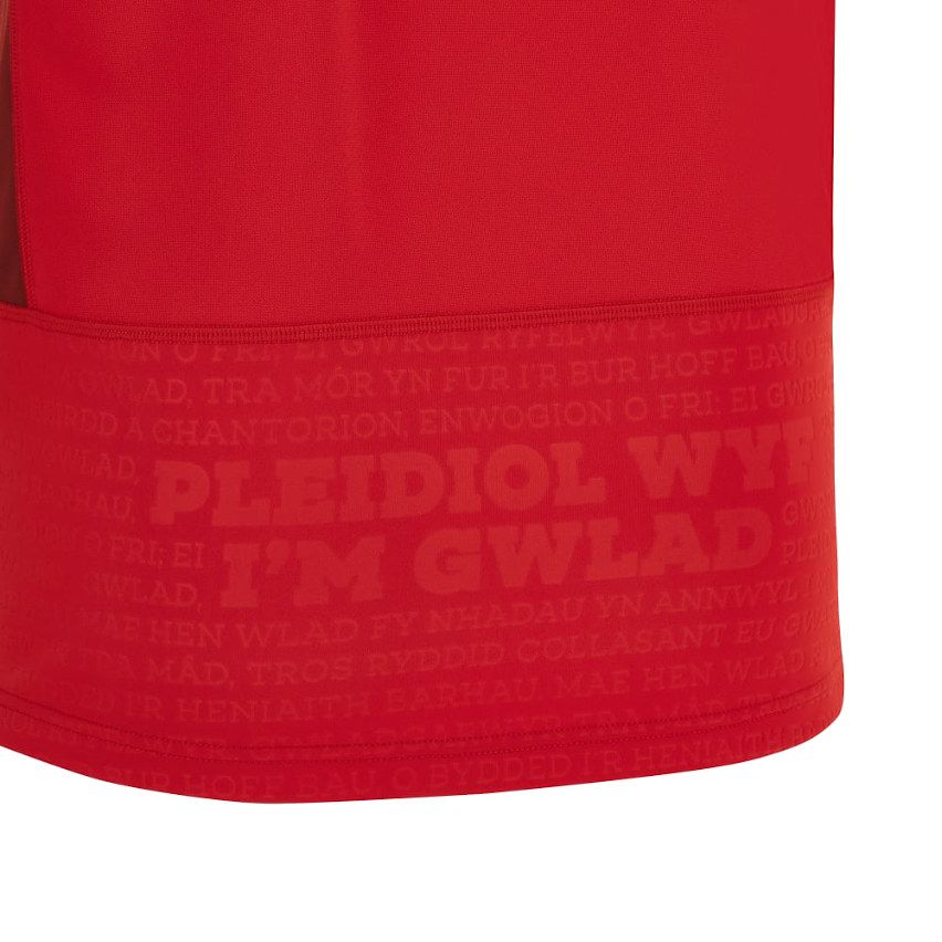 Wales Rugby Home Jersey 2023/2024 - Macron