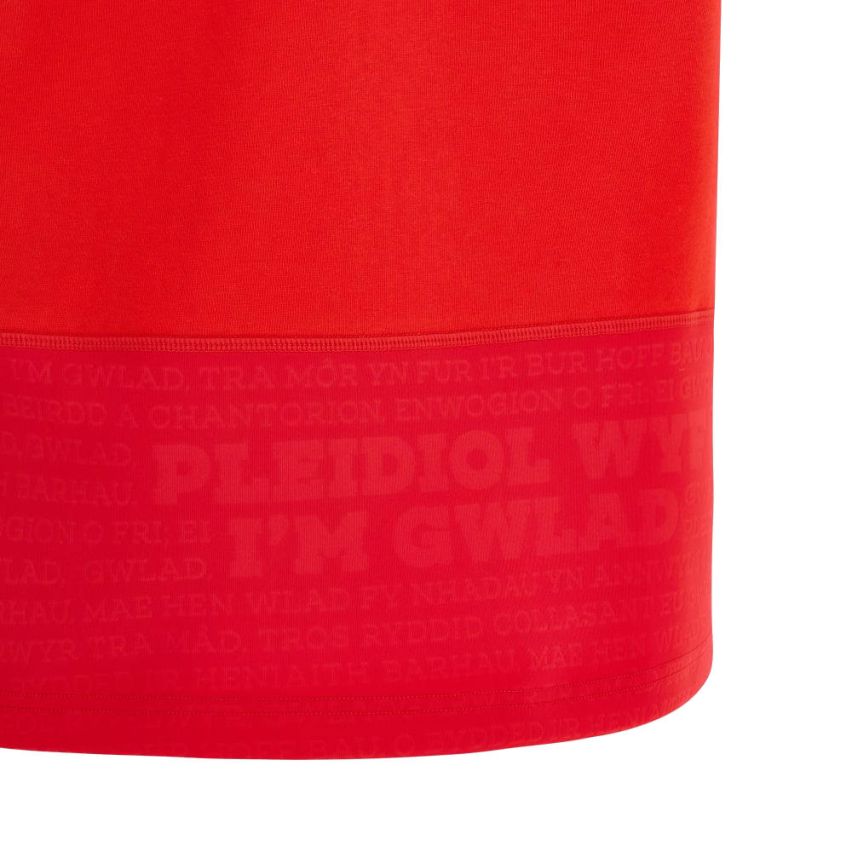 Maillot Rugby Cotton Pays De Galles Domicile Coupe Du Monde 2023 – Macron