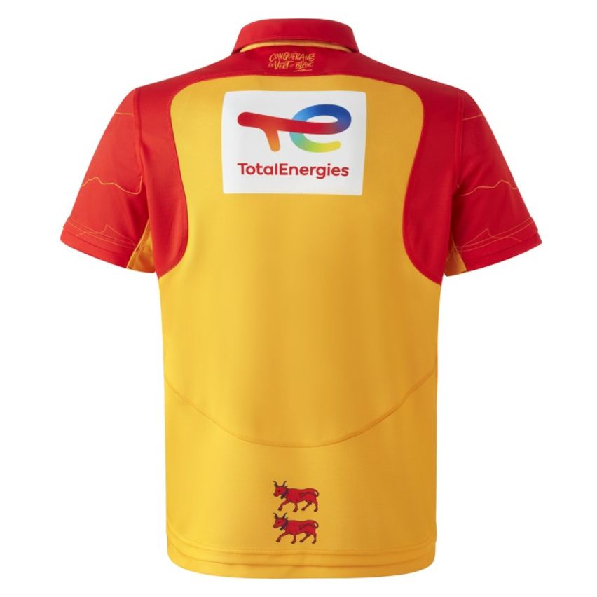 Rugby Shirt Replica Section Paloise Third Challenge Cup 2024-2025 - MACRON