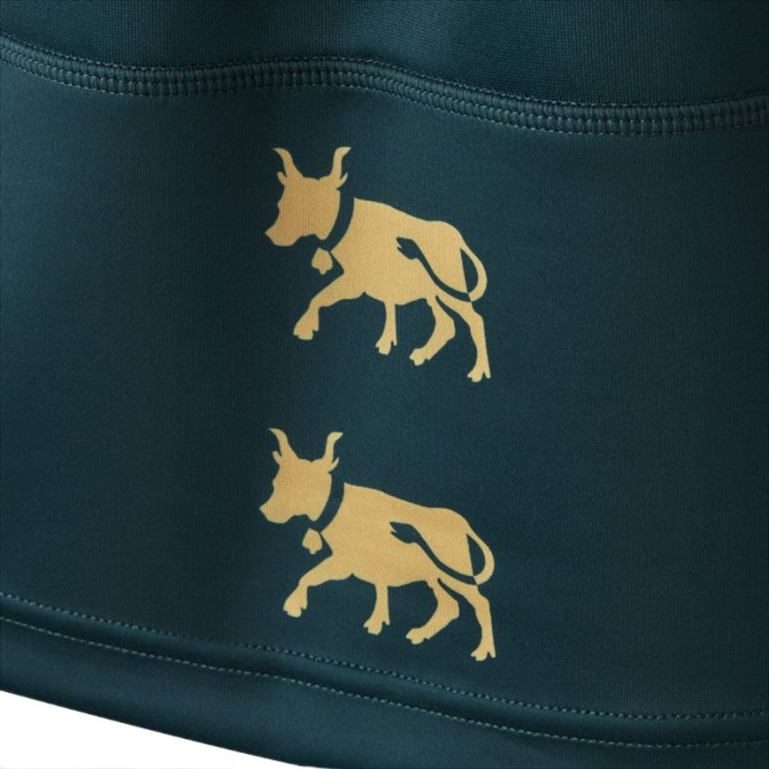 Striped Replica Rugby Jersey Pau Champions Cup - Macron