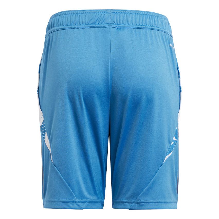 Kids' Rugby Shorts France Training Sky Blue - Adidas
