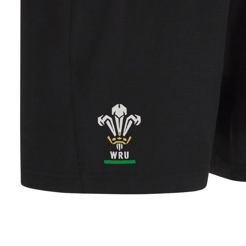 Wales Rugby Training Shorts 2024/2025 - Macron