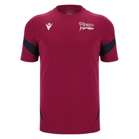 Sale Sharks Training Tee 2025/2026 - Macron
