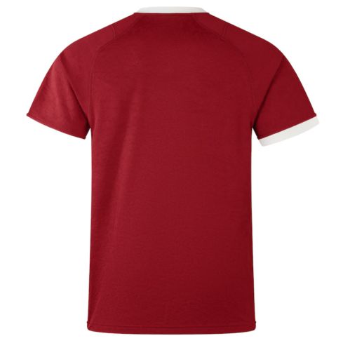British & Irish Lions Replica Rugby Shirt Red - Canterbury