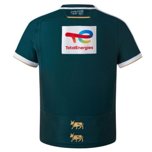 Striped Replica Rugby Jersey Pau Champions Cup - Macron